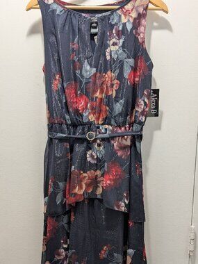 Alexa B Nites  Maxi Floral Shimmery Sleevless Dress, Size US 10, NWT